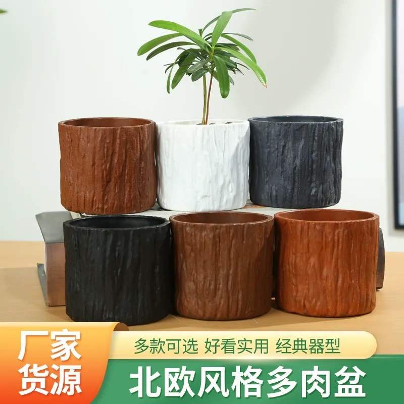 Decorative indoor plant